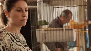 Задник к фильму "Оскорбление" #210691