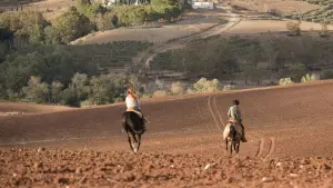 Задник к фильму "Восточный ветер 3: Наследие Оры" #423741