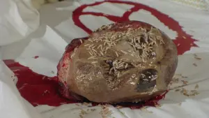 Задник к фильму "" #436045