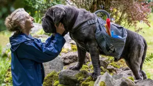 Задник к фильму "" #385345