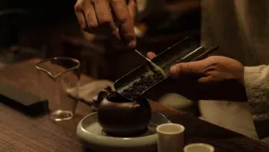 Задник к фильму "" #443469