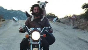 Задник к фильму "" #191997