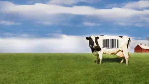 Задник к фильму "Корпорация «Еда»" #496024