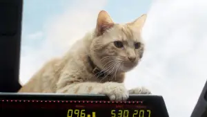 Задник к фильму "Капитан Марвел" #573674