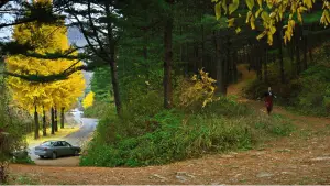 Задник к фильму "Метод исключения" #511180