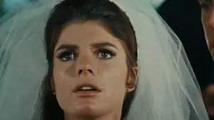 Задник к фильму "Выпускник" #672715