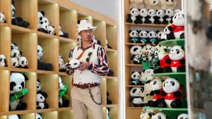 Задник к фильму "Операция «Панда»" #572754