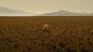 Задник к фильму "Техасская резня бензопилой" #694258