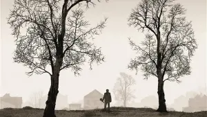 Задник к фильму "Тираннозавр" #230408