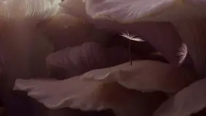 Задник к фильму "" #658501