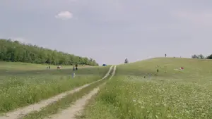 Задник к фильму "Солнцестояние" #588997