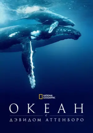 Океан с Дэвидом Аттенборо