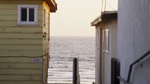 Задник к фильму "Врождённый порок" #704168