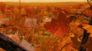 Задник к фильму "Дом монстр" #701319