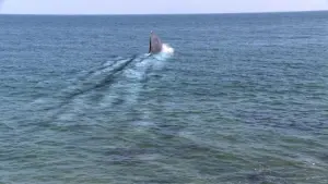 Задник к фильму "" #462573