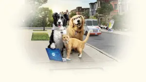 Задник к фильму "Кошки против собак 3: Лапы, объединяйтесь" #482785