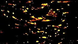 Задник к фильму "" #575886