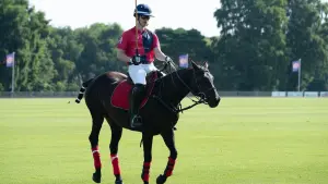 Задник к фильму "Красный, белый и королевский синий" #178948