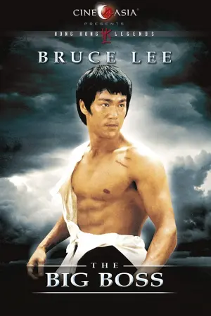 Постер к фильму "Большой босс" #91124