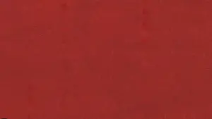 Задник к фильму "Дикие сердцем" #245070