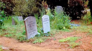 Задник к фильму "Семейный заговор" #376197