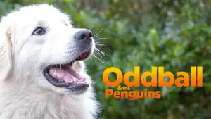 Задник к фильму "Чудак" #732742