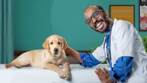 Задник к фильму "777 Чарли" #418964