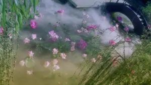 Задник к фильму "青蛇" #903094