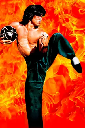 Постер к фильму "Пьяный мастер" #715929