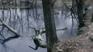 Задник к фильму "Солярис" #731571