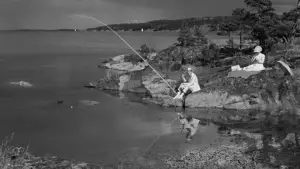 Задник к фильму "Земляничная поляна" #693400