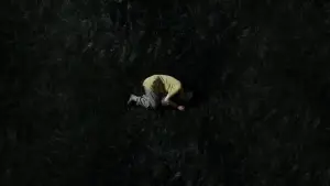 Задник к фильму "Козявка" #745465