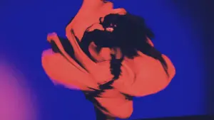 Задник к фильму "" #485054