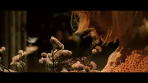 Задник к фильму "Догвилль" #698805