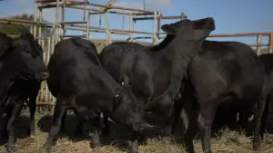 Задник к фильму "" #673195