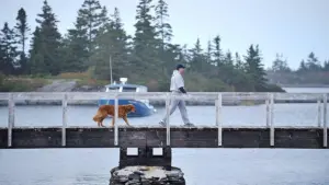 Задник к фильму "Джесси Стоун: Гибель невинных" #452230