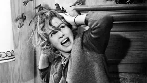 Задник к фильму "Птицы" #209985