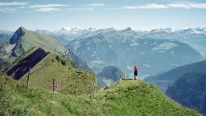 Задник к фильму "" #420413