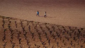 Задник к фильму "" #199526