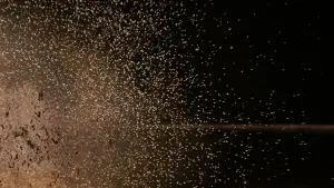 Задник к фильму "Звёздные войны: Эпизод 4 - Новая надежда" #546715