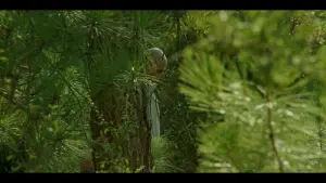 Задник к фильму "" #453490