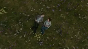 Задник к фильму "Сумерки. Сага: Новолуние" #519709