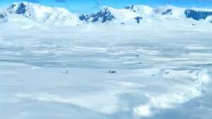 Задник к фильму "Делай ноги" #671400