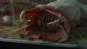 Задник к фильму "Презерватив - убийца" #417206