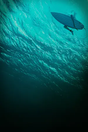 Постер к фильму "Отмель" #289669