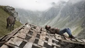 Задник к фильму "Восемь гор" #201157