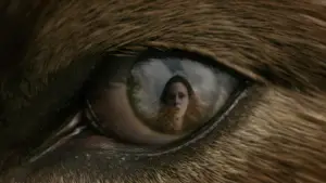 Задник к фильму "Сумерки. Сага: Новолуние" #519704