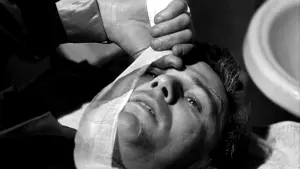 Задник к фильму "Тело и душа" #451040