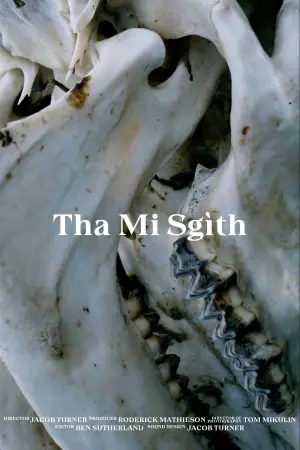 Постер к фильму "Tha Mi Sgìth"