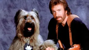 Видео к фильму Главная собака | Top Dog (1995) Trailer (VHS Capture)